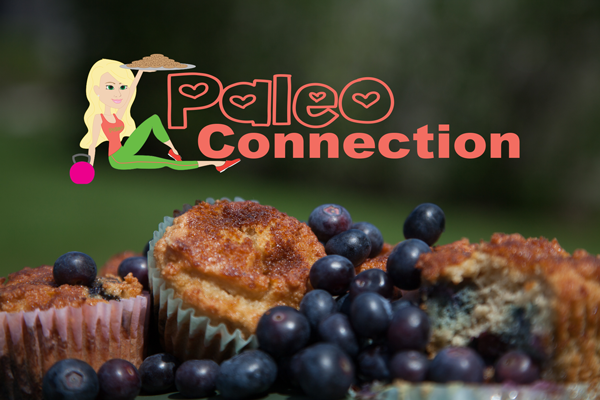 Sarasota Web Design Project for Paleo Connection